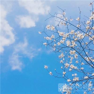 q萌剑侠传手游下载